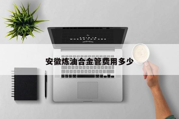 安徽炼油合金管费用多少